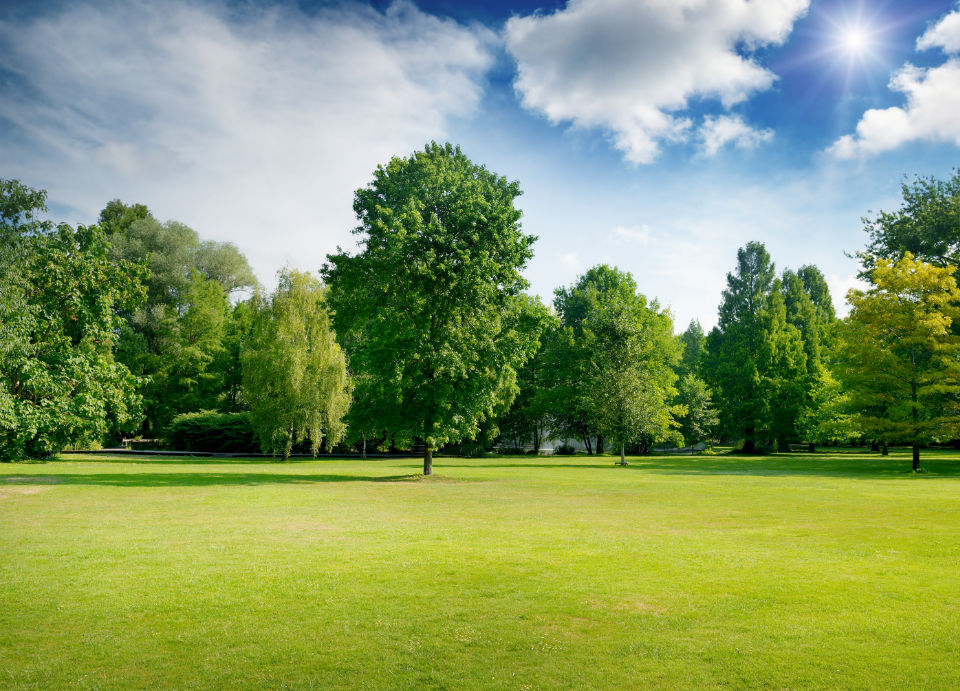 Green Tranquility